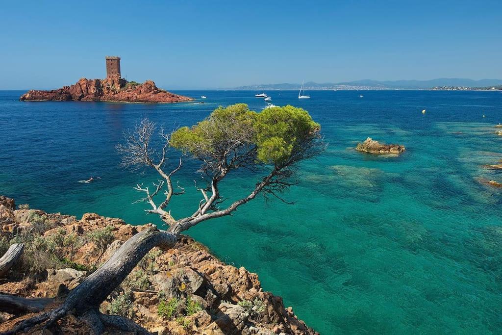 Appartement Frejus Avec Jardin, Piscine, Plage, Tennis ภายนอก รูปภาพ